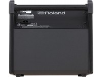 Roland PM-100 painel de ligações